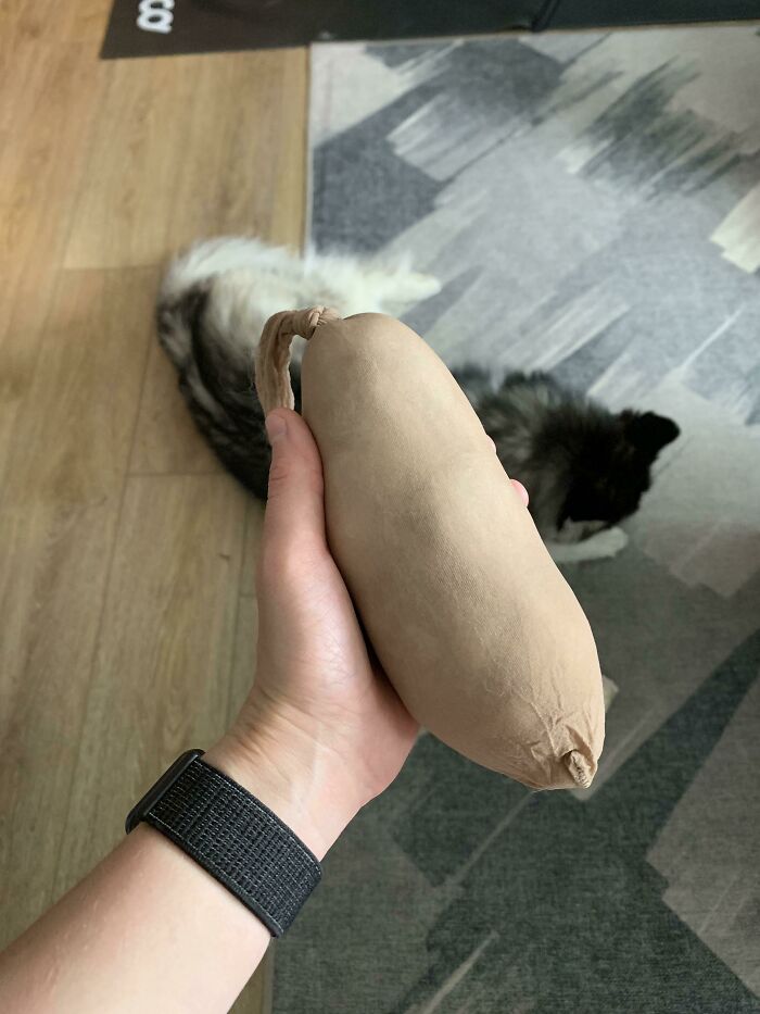 I Use Panty Hose Filled With Husky Fur To Deter Rabbits From Snacking In My Garden. No Chemicals, Much Less Chicken Wire, And I Don’t Have To Keep Buying New Plants