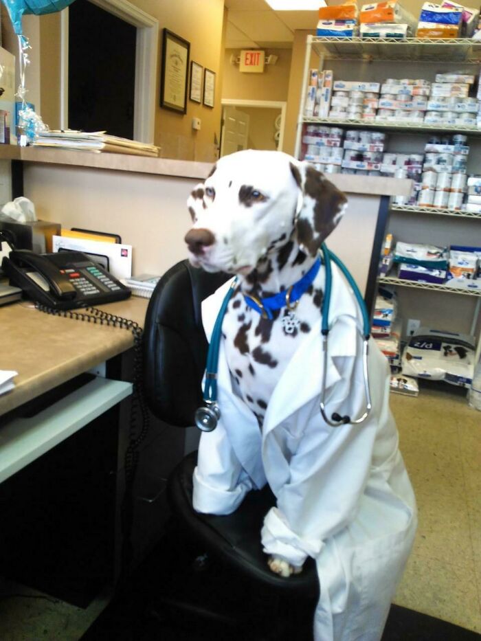 Healing Boo-Boos With Nom Noms And Kisses