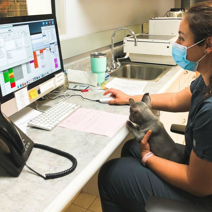 Blu Is The Best Little Assistant