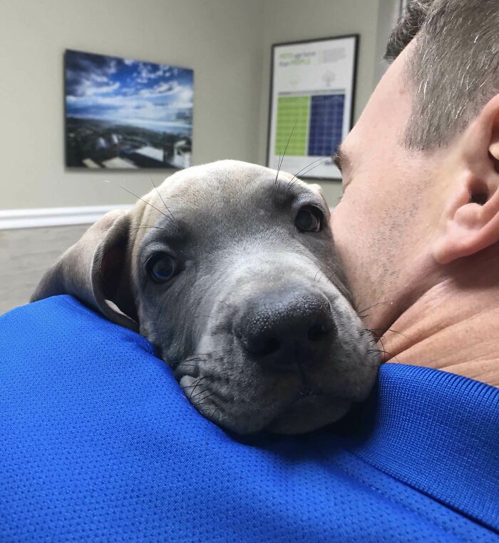 Some Days It’s Good To Be A Veterinarian