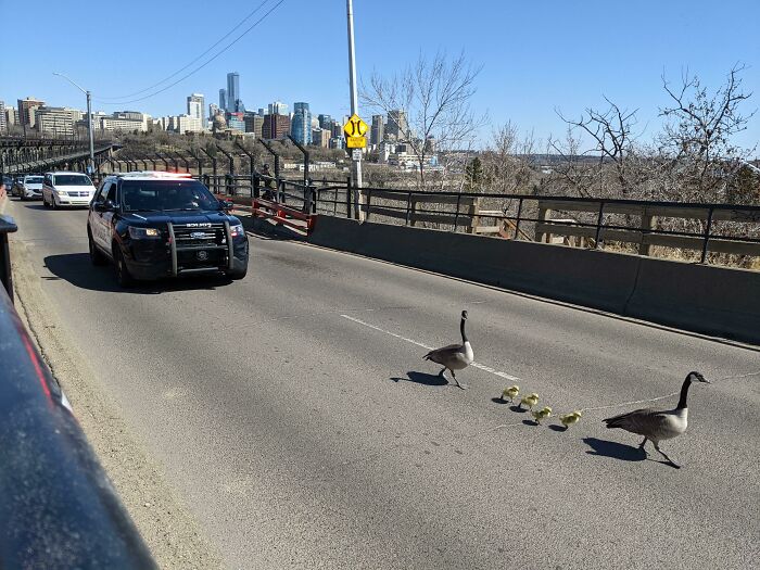 Edmonton Traffic Jam Across The High Level Bridge