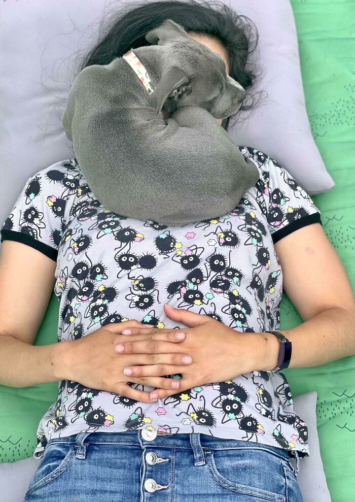 We've Had Her 1 Week, And This Is How She Sleeps Now