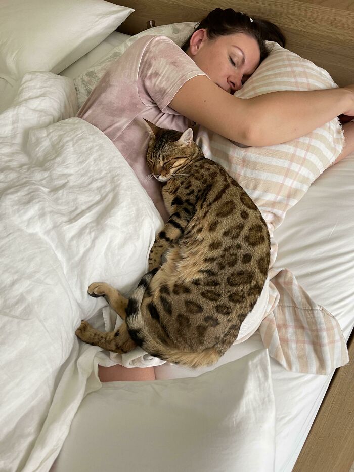 These Two Have Been Inseparable Since My Wife Got Pregnant. Today Is My Wife's Due Date. I Think Our Cat Knows