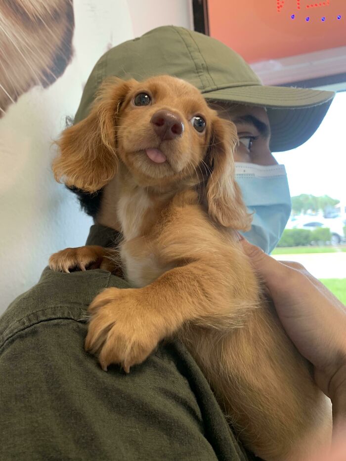 First Time At The Vet, She Was Such A Good Girl