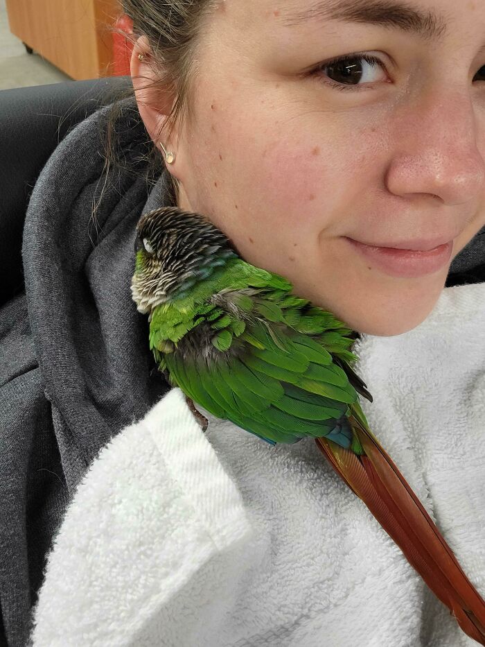 He's Feeling Much Better. The Best Part Of Emergency Veterinary Medicine Are The Snuggles