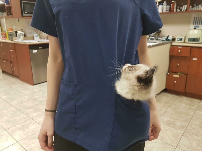 The Best Part Of The Job