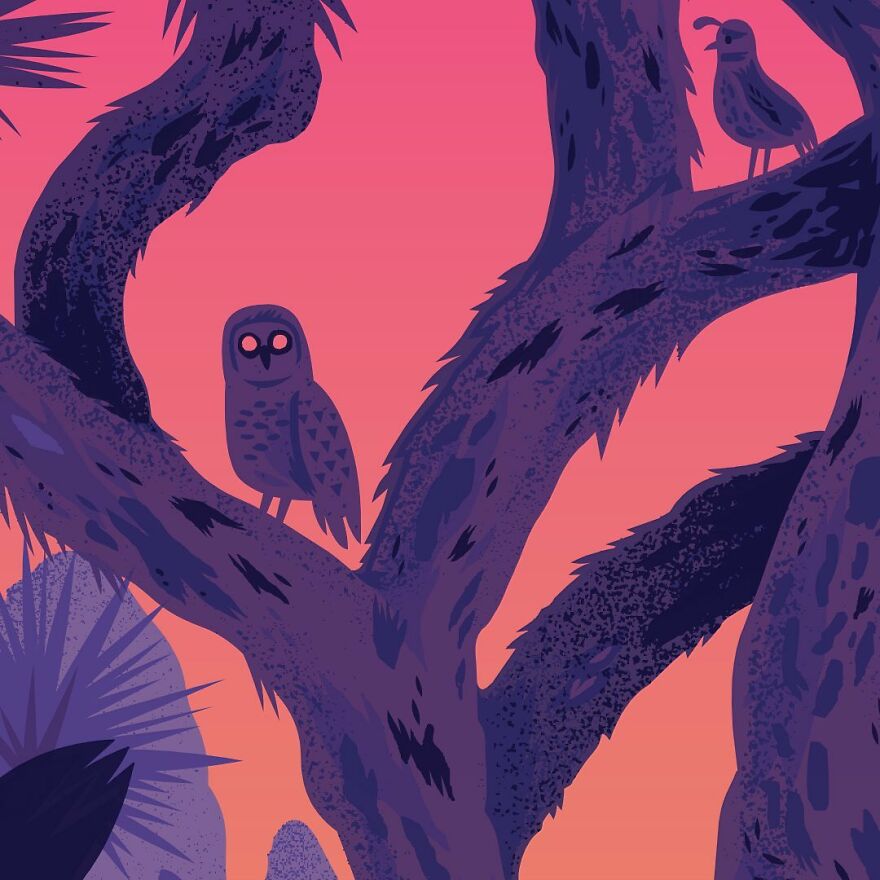 We Started Illustrating Every National Park In The US To Get Park Nerds Into Posters And Poster Nerds Into The Parks