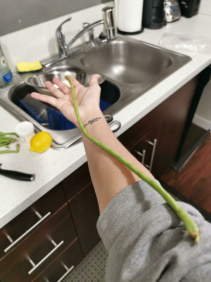 The Longest Bean I've Ever Seen