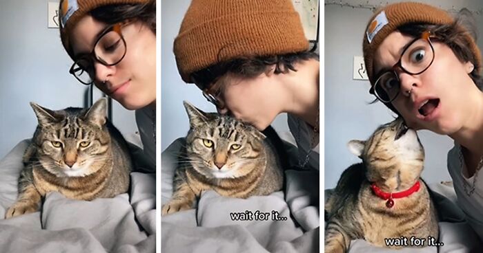 Owners Wanted To See The Reactions Of Their Pets After They Get Unexpected Kisses (45 Pics)
