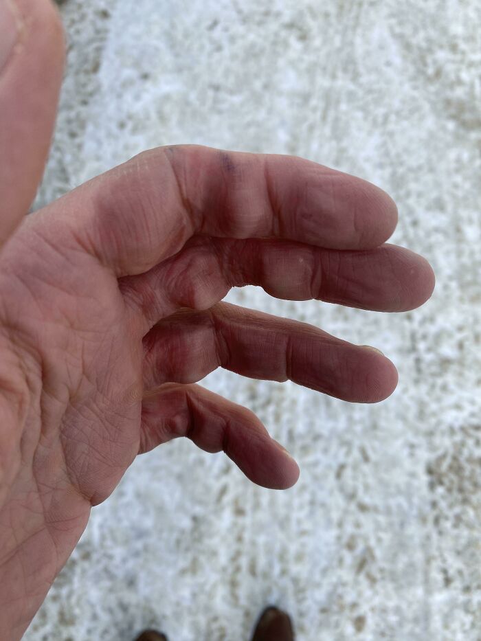 -25 Outside. Heavy Grocery Bag. No Gloves. Long Reunion/Chat With Old Friend In Parking Lot. Gravity