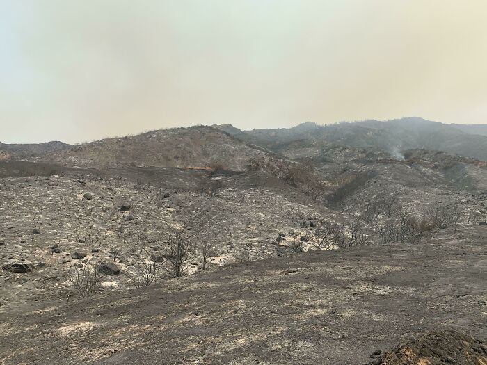 Burnt landscape after wildfire, showing nature damage that made people go well that s***s moment.