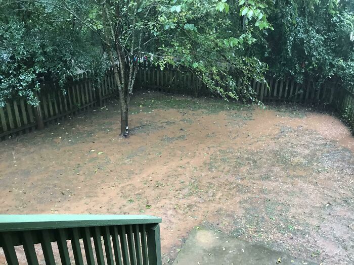 Today I Learned My Yard Turns Into A Gigantic Mud Pit When It Rains
