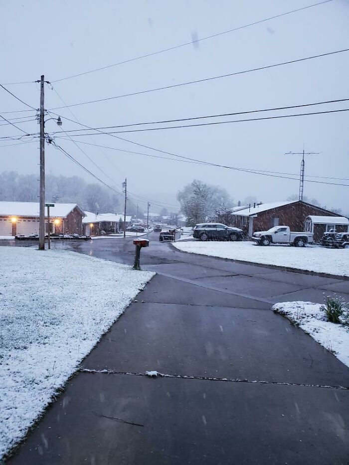 Snow-covered suburban street with cars and houses under a gray sky, showcasing nature made people go well that s***s moments.