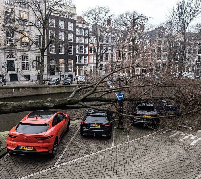 We Had A Storm Here In Amsterdam