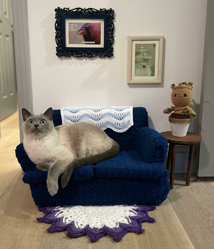 What Started As A Humble Crochet Cat Couch Became A Bona Fide Kitty Living Room