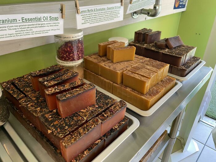 Forbidden Dessert Slices