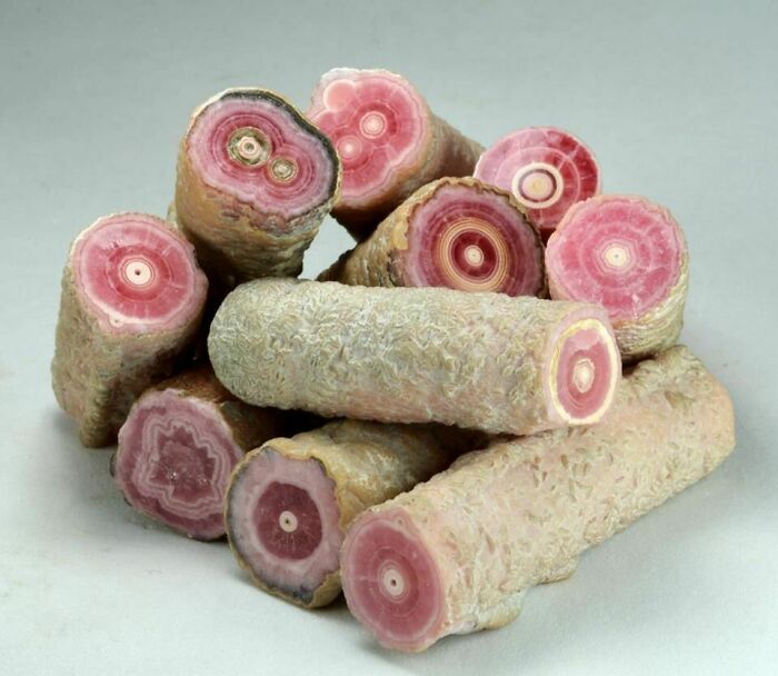 Forbidden Salami
