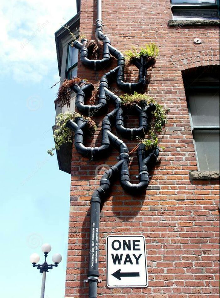 This Downspout With Vertical Garden Attached In Seattle