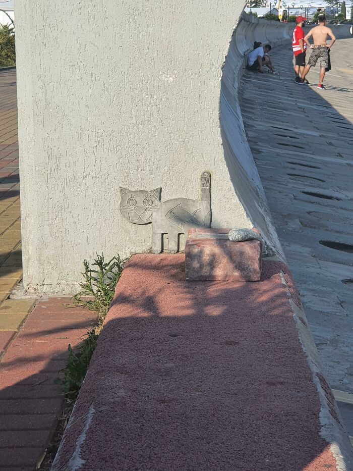 A Cat On The Side Of A Wave Breaker