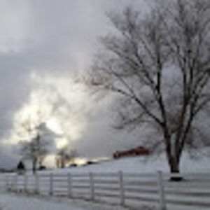 kathleenlockhart avatar