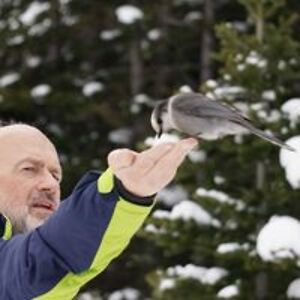 michael_taylor avatar