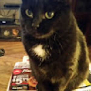 annamariehessgonzalez avatar