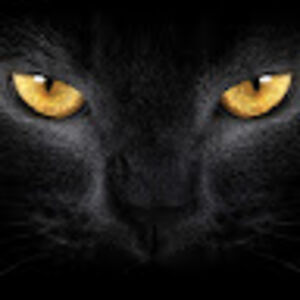 sarahanderton avatar