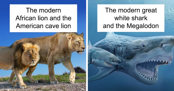 37 Comparisons Of The Sizes Of Prehistoric Animal Ancestors And Their Modern Relatives By Roman Uchytel