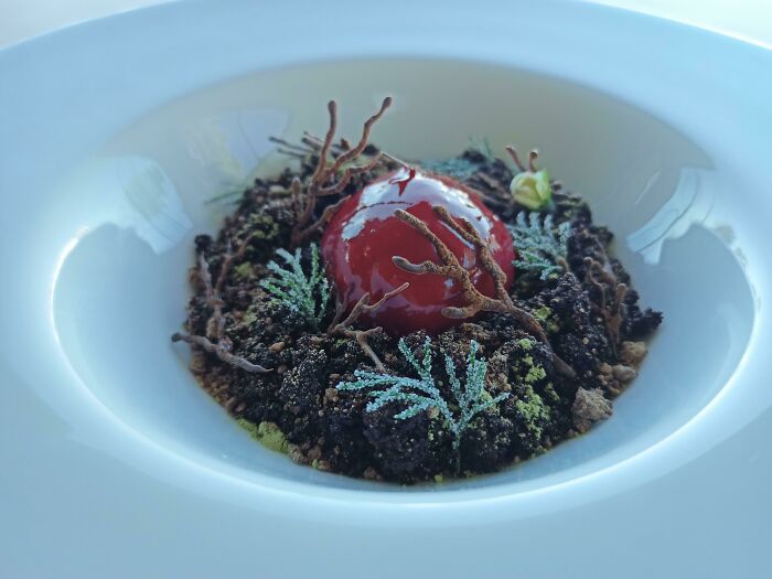 Raspberry Sorbet, Chocolate Soil.