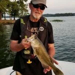 travelingalabama avatar