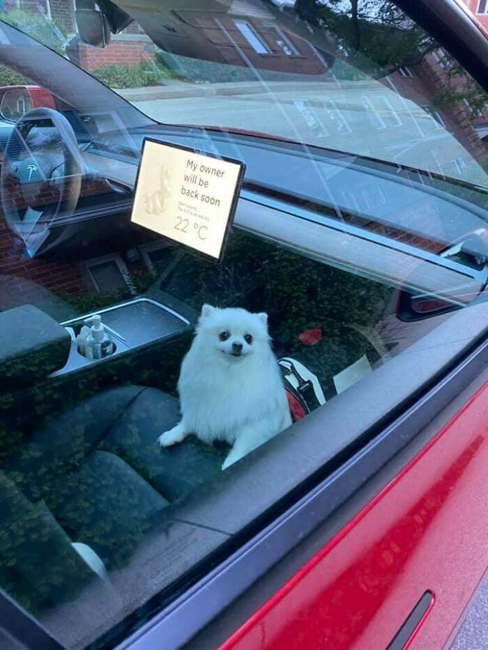 Spotted On My Morning Walk