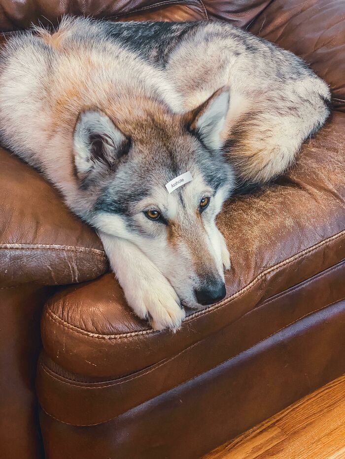 My Husband Brought Home A Label Maker