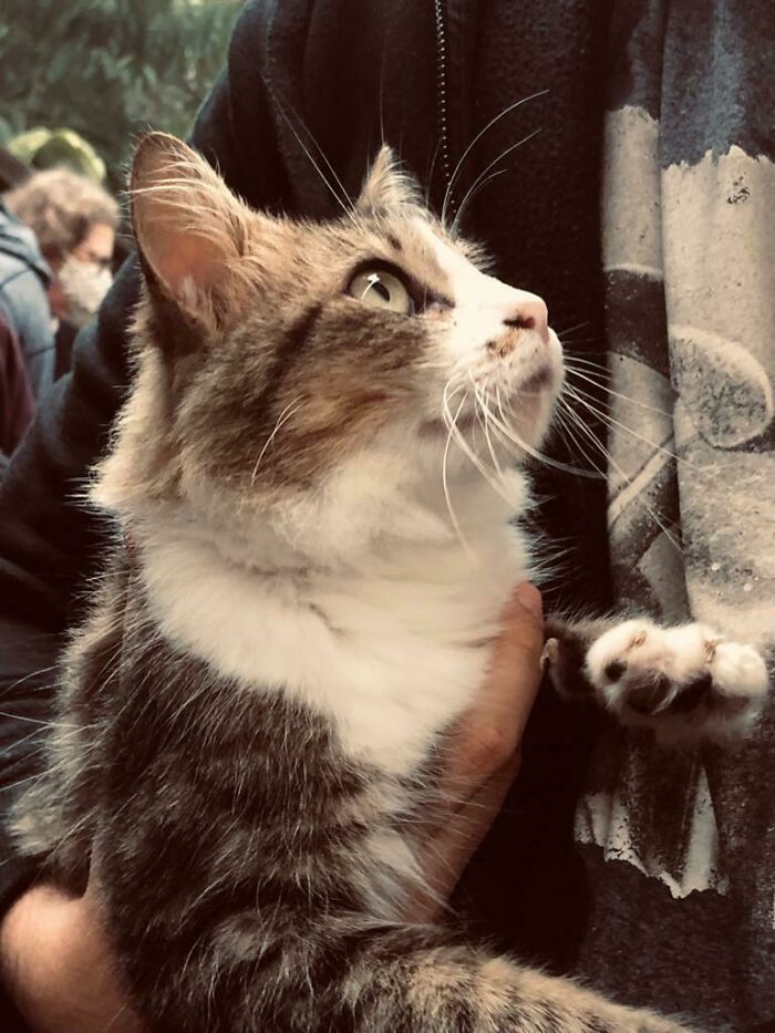 The Way She Was Looking At Us... We Had To Adopt Her