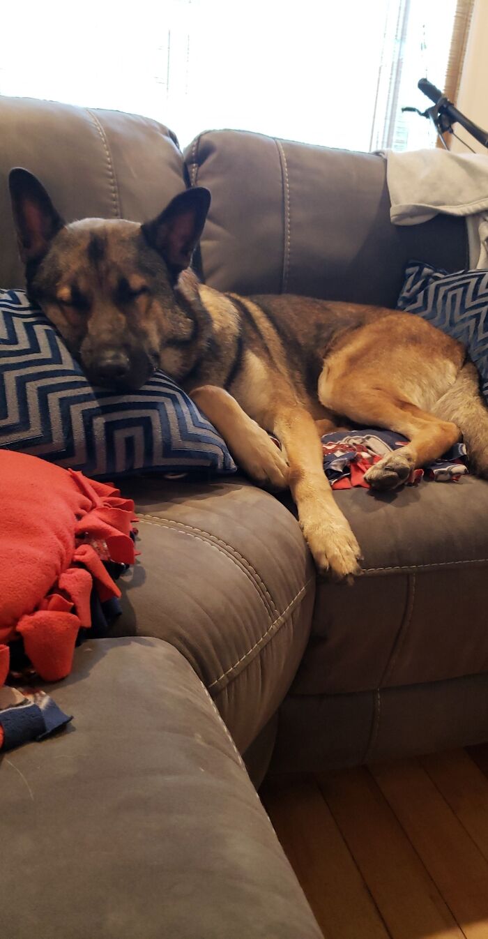 Oh Snap! Today Ended Up Being This Handsome Man's Adoption Day!