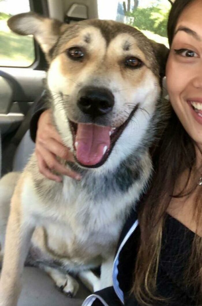 The Face Of This Pup We Rescued From Humane Society Today 5 Minutes After We Picked Her Up. Meet Stella!