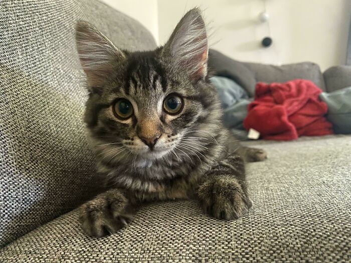 Adopted This Little Girl Today, Any Name Ideas?