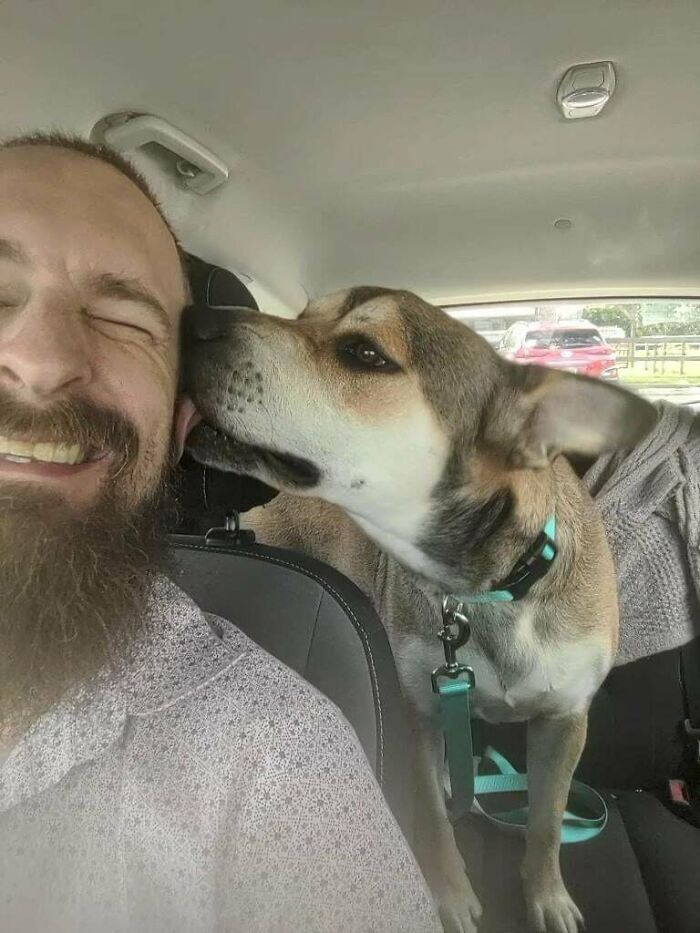 Adopted A Rescue Today