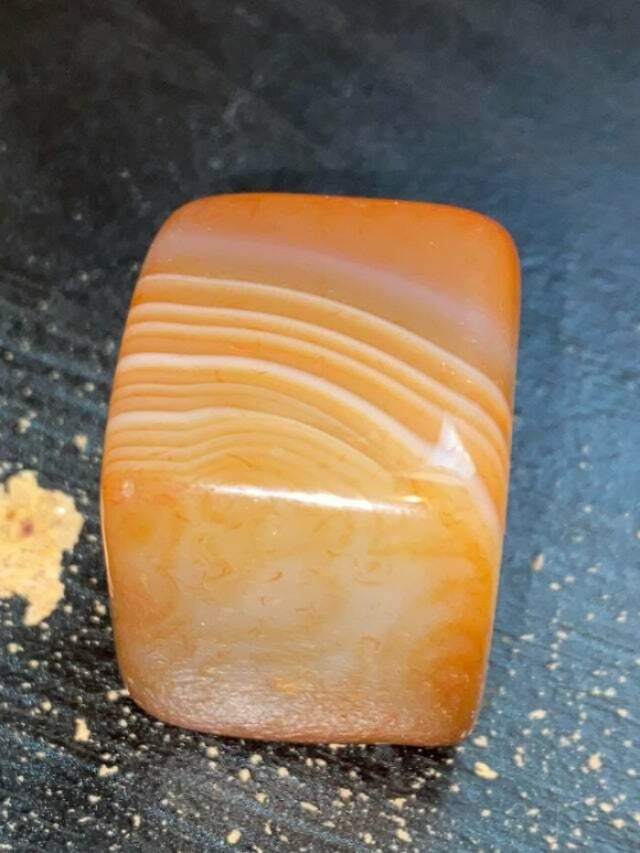 Forbidden Salmon (Banded Carnelian)