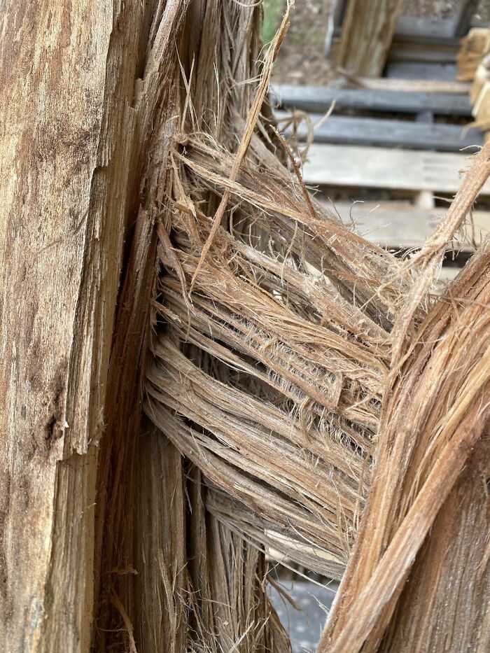 I’ll Take One Pulled Pork Sandwich