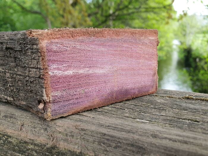 Forbidden Roast Beef Is Cooked To Perfection