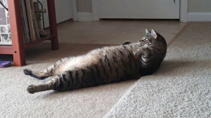 The Ab Work Out Clearly Isn't Working Out For My Boy