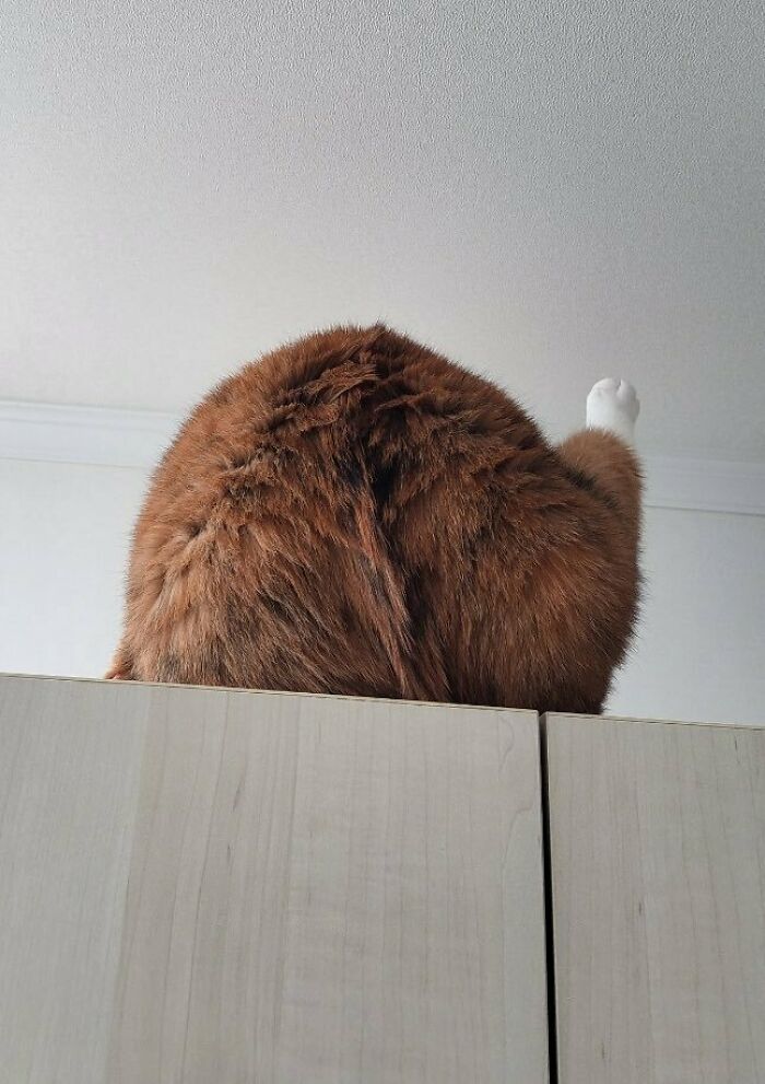 Forbidden Fried Chicken