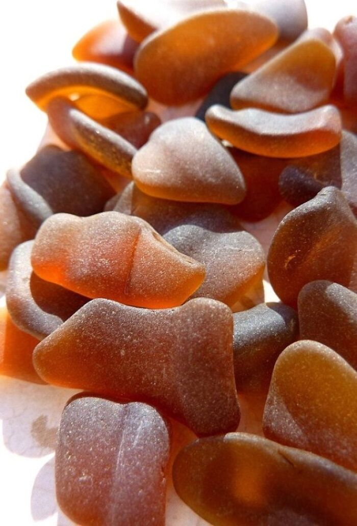 Forbidden Cola Gummies