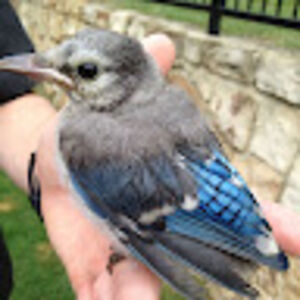 kemariasmalley avatar