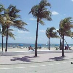 vickiehorowitz56 avatar