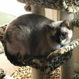 mary_acostavalle avatar