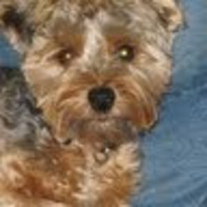 maryjohndebrun avatar