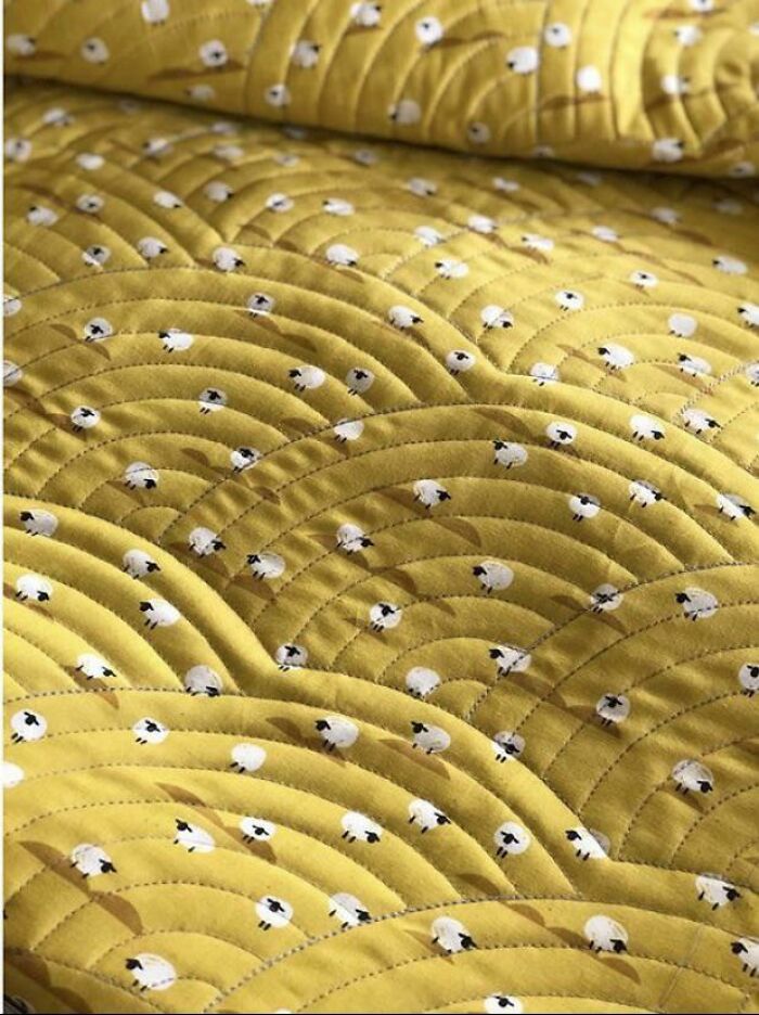 Have You Ever Been More Obsessed With The Back Of Your Quick Than The Front?