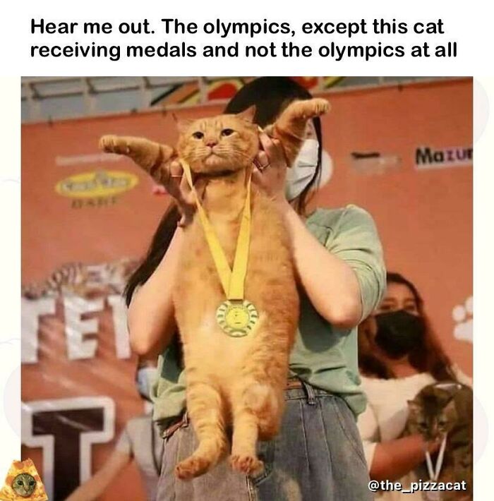 Cat Olympics? This Mfer Spittin Tho