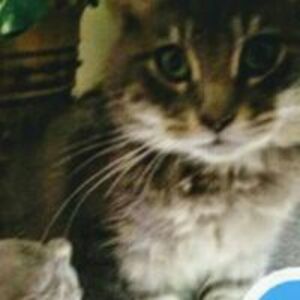 jacklyn_haight avatar